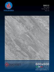 Gạch Viglacera 60x60 B6012