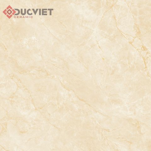 Gạch Viglacera 60x60 B6018