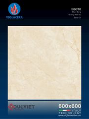 Gạch Viglacera 60x60 B6018