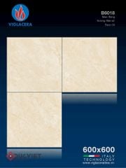 Gạch Viglacera 60x60 B6018