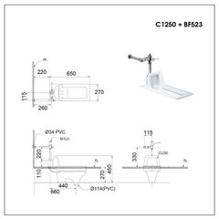 BÀN CẦU XỔM CAESAR C1250 + BF523A
