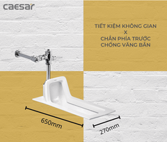 BÀN CẦU XỔM CAESAR C1250 + BF523A