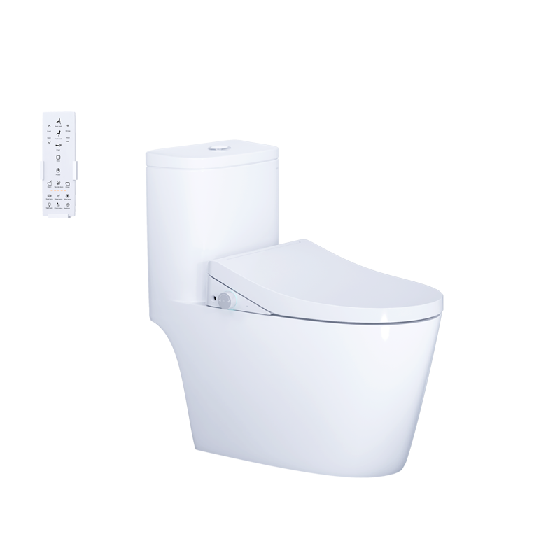 BÀN CẦU ĐIỆN TỬ C1364F+ TAF512H