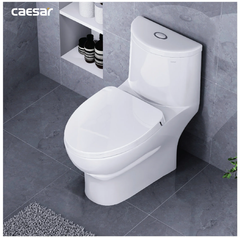 BÀN CẦU 1 KHỐI CAESAR C1375