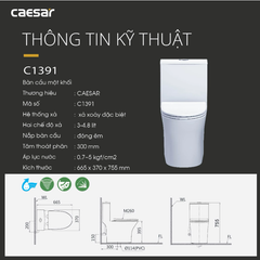 BÀN CẦU 1 KHỐI CAESAR C1391