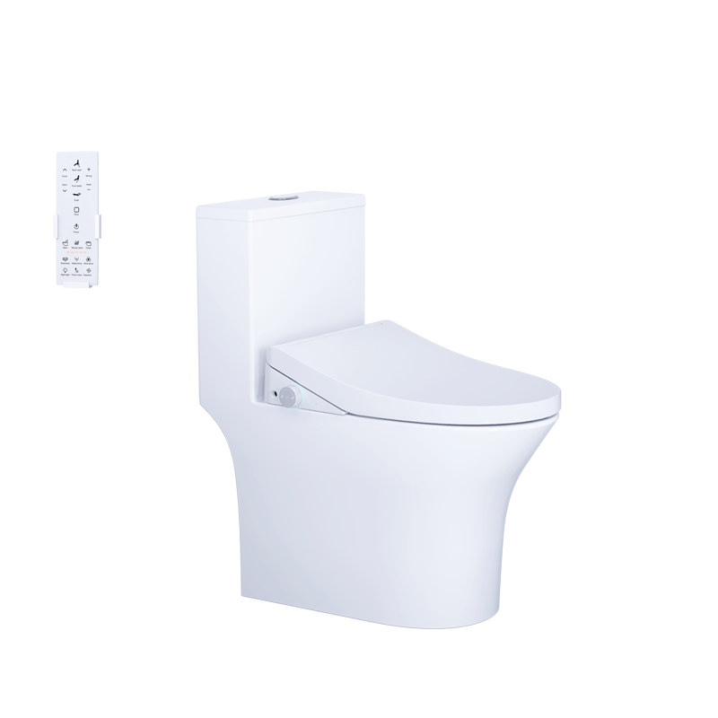 BÀN CẦU ĐIỆN TỬ C1391F+ TAF512H