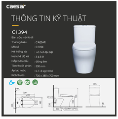 BÀN CẦU 1 KHỐI CAESAR C1394