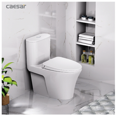 BÀN CẦU 1 KHỐI CAESAR C1395