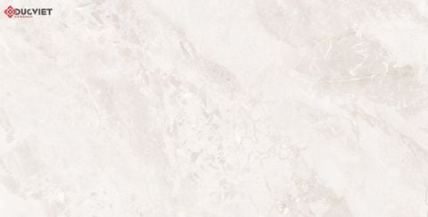 Gạch Grand Ceramics 40x80 C48MS804