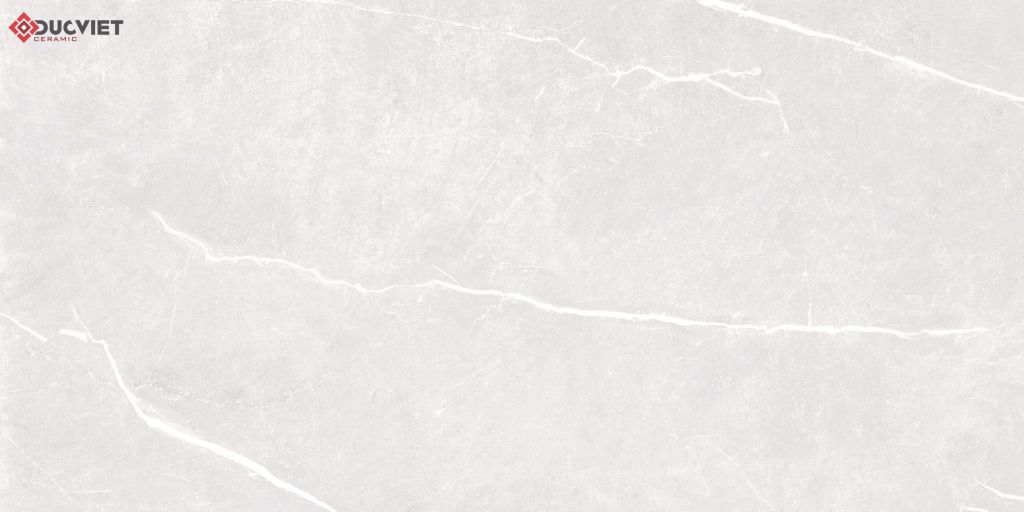 Gạch Grand Ceramics 40x80 C48NS805