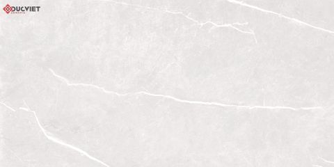Gạch Grand Ceramics 40x80 C48NS805