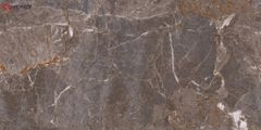Gạch Grand Ceramics 40x80 C48SS906