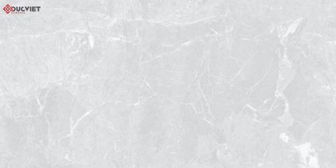 Gạch Grand Ceramics 40x80 C48SW806