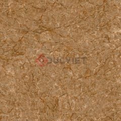 Gạch Viglacera 50x50 CL-CE509