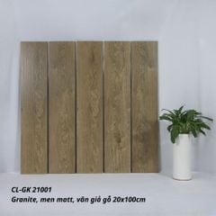 Gạch Viglacera 20x100 CL-GK21001