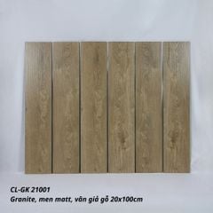 Gạch Viglacera 20x100 CL-GK21001