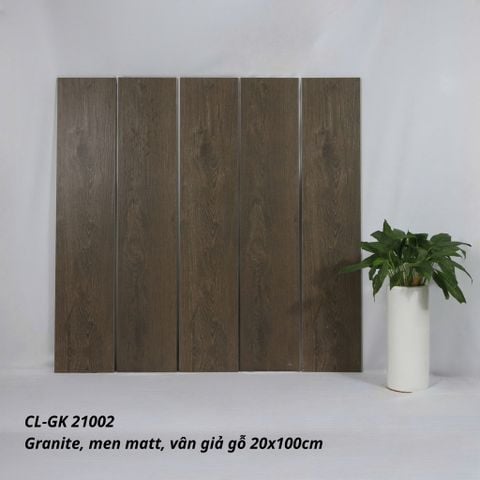 Gạch Viglacera 20x100 CL-GK21002
