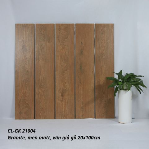 Gạch Viglacera 20x100 CL-GK21004