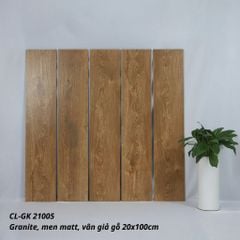 Gạch Viglacera 20x100 CL-GK21005