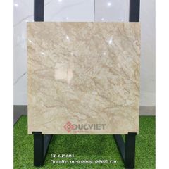 Gạch Viglacera 60x60 CL-GP605