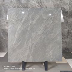 Gạch Viglacera 120x120 CL2-P121203