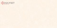 Gạch Viglacera 30x60 CL367
