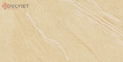 Gạch Viglacera 30x60 CLBS3602