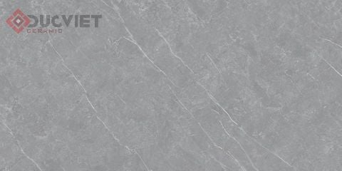 Gạch Viglacera 30x60 CLCE3616