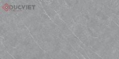 Gạch Viglacera 30x60 CLCE3616