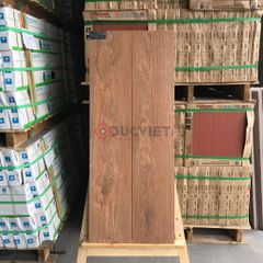 Gạch Viglacera 20x100 CL-GK21004