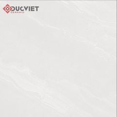 Gạch Viglacera 60x60 CLGM 6601