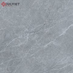 Gạch Viglacera 60x60 CLGM6610