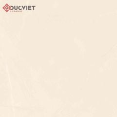 Gạch Viglacera 60x60 CLGP 608