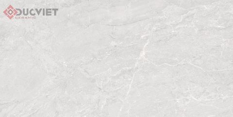 Gạch Viglacera 60x120 CL-GP61210