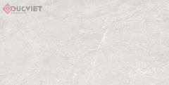 Gạch Viglacera 60x120 CL-GP61210