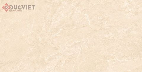 Gạch Viglacera 60x120 CL-GP61211