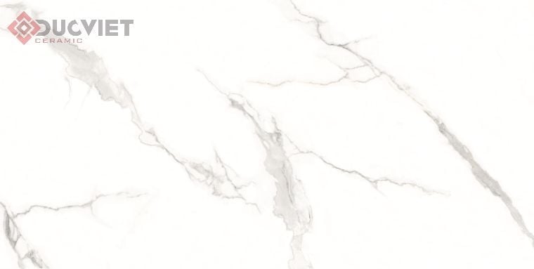 Gạch Viglacera 60x120 CL-GP61212