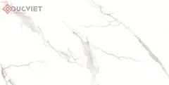 Gạch Viglacera 60x120 CL-GP61212