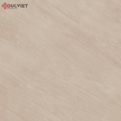 Gạch Viglacera 60x60 CLSM 602