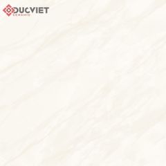 Gạch Viglacera 60x60 CLSM 604