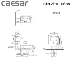 BÀN CẦU XỔM CAESAR CS1230