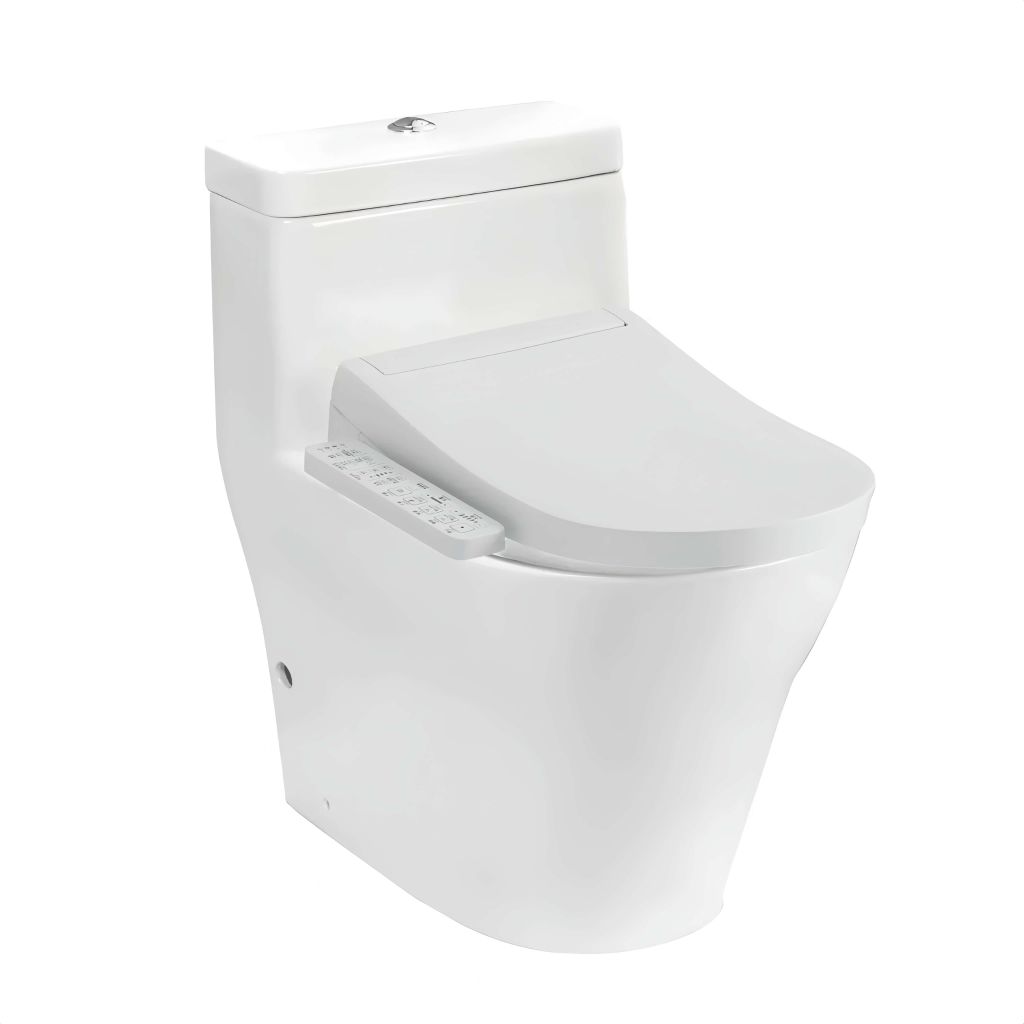 BÀN CẦU ĐIỆN TỬ TOTO CW166RB/TCF33320GAA/T53P100VR