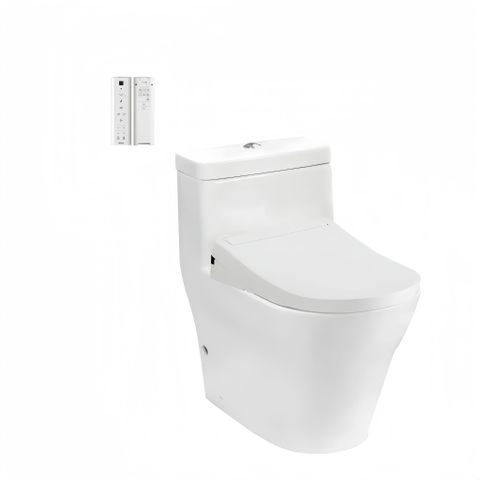 BÀN CẦU ĐIỆN TỬ TOTO CW166RB/TCF34320GAA/T53P100VR