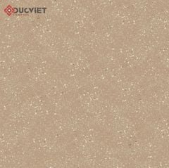 Gạch Eurotile DIL H02 60x60