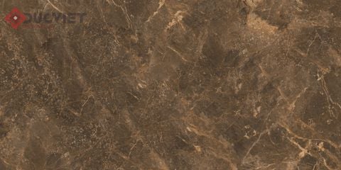 Gạch Viglacera 60x120 ECO-D61202