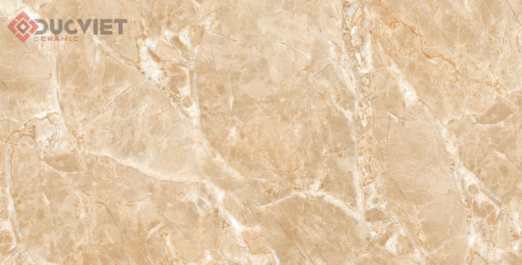 Gạch Viglacera 60x120 ECO-D61203