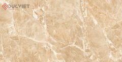 Gạch Viglacera 60x120 ECO-D61203