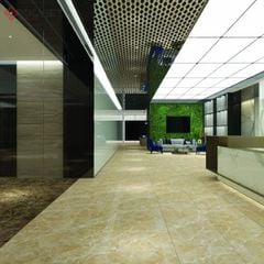 Gạch Viglacera 60x120 ECO-D61203