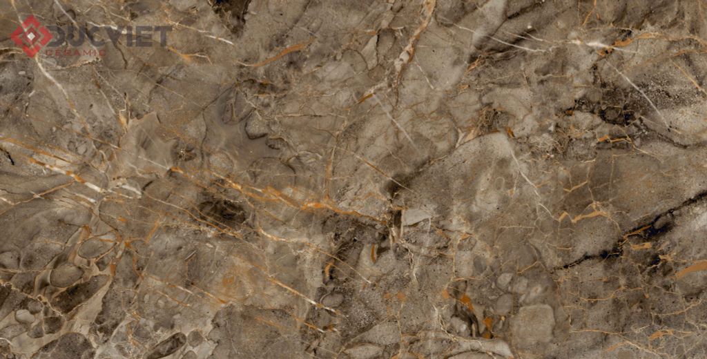 Gạch Viglacera 60x120 ECO-D61204