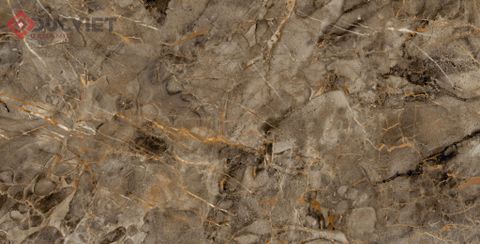 Gạch Viglacera 60x120 ECO-D61204